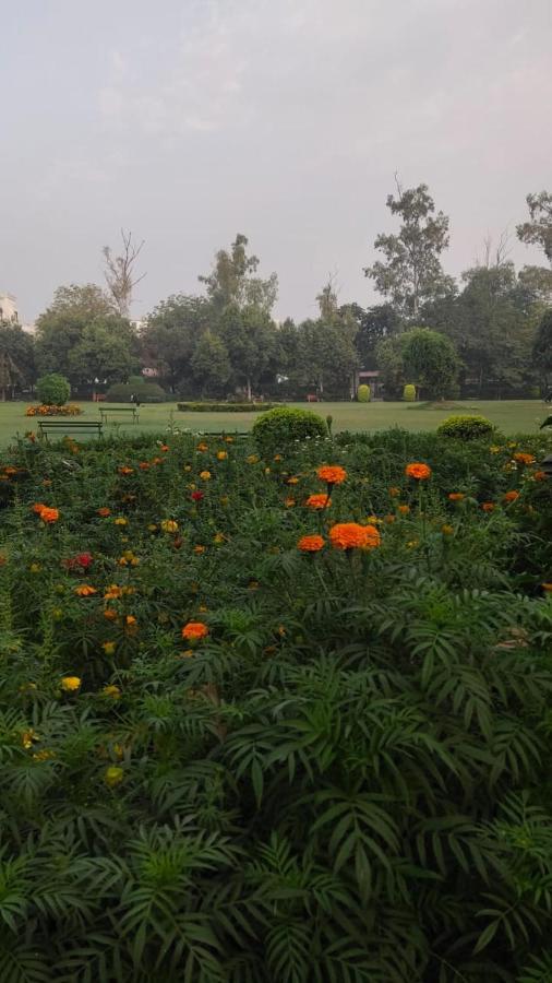 Maplewood Guest House, Neeti Bagh, New Delhiit Is A Boutiqu Guest House - Room 5 Exterior photo